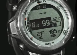 scdp_.jpg.webp