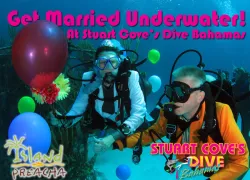 scove-wedding-graphic.jpg.webp