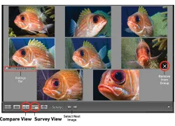 scu-adobe-lightroom-tutorial-.jpg.webp