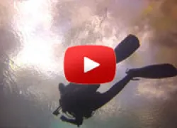 scu-blue-grotto-video_thumb.jpg.webp