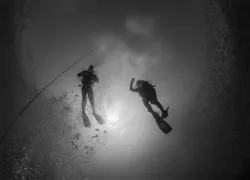 scu-divers-underwater-black-and-white-lessons.jpg.webp