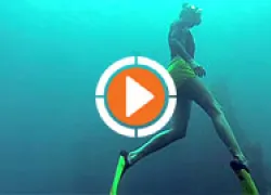 scu-freediving-video-thumb.jpg.webp
