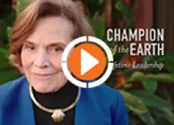 scu-sylviaearle-videothumb.jpg.webp