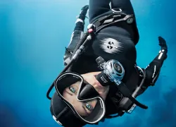 scu_julieanderson_sharksavers.jpg.webp