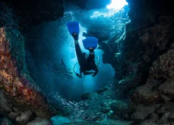 scuba-cayman_shutterstock__.jpg.webp