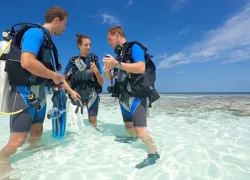 scuba-certified.jpg.webp