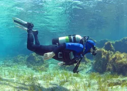 scuba-diver-shallow-mediterranean-shutterstock-nikolay-hristakiev.jpg.webp