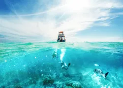 scuba-divers-cozumel-underover-shutterstock-goodfocused.png.webp