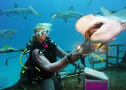 scuba-diving-bahamasfile_.jpeg.webp