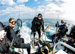 scuba-diving-shark-diving-randy-jordan-emerald-charters-.jpg.webp