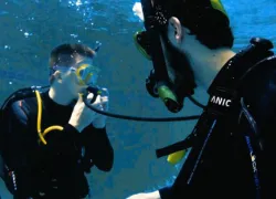 scuba-diving-skills-videos.jpg.webp