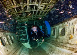 scuba-diving-specialty-wreck.jpg.webp