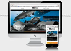 scuba-new-website-redesign.jpg.webp