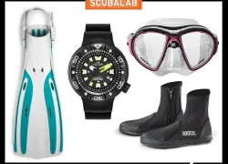 scuba-quick-looks-june-teaser.jpg.webp