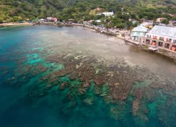 scuba-roatanhonduras_shutterstock_.jpg.webp