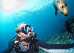 scuba-us_california_shutterstock_.jpg.webp