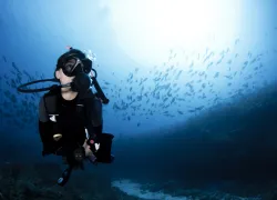 scuba_diver_unexplained_hit.jpg.webp