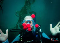 scuba_magician_underwater.jpg.webp