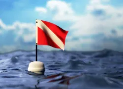 scubaflag.jpg.webp