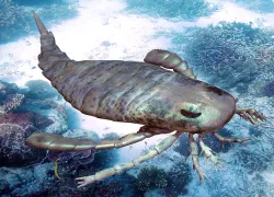 sea-scorpion-shutterstock-aunt-spray.jpg.webp