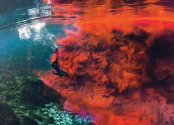sea-story-dye-diving-florida-jenny-adler-teaser-scd.jpg.webp