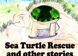 sea-turtle-childrens-book-eric-douglas.jpg.webp
