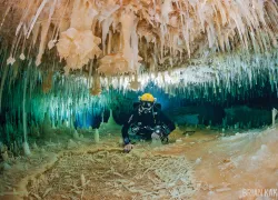sea_hero_brian_kakuk_cave_diverscd_.jpg.webp
