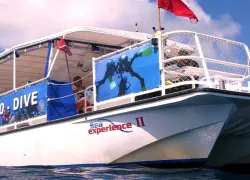 seaexperience-diveboat.png.webp