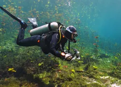shallow-water-diving-shutterstock-lue-sea.cz.jpg.webp