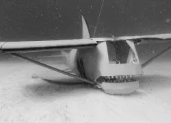 shark-planeo-underwater-courtesy-kendyl-berna-beyond-the-reef.jpg.webp