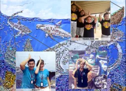 shark_fin_mosaic_sea_save_foundation.jpg.webp