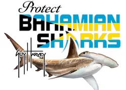 shark_sanctuary_chest_logo.jpg.webp