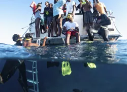 sharkskids-boat-jillian-morris.jpg.webp