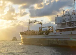 shipwreck_dive_attraction.jpg.webp