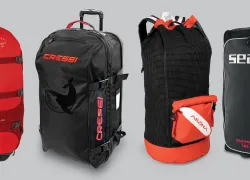 sl_bags_x_banner_newsitev_.jpg.webp