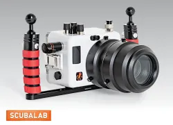 slcameras_webteaser_homepage_.jpg.webp