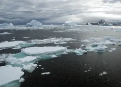 southern-ocean-antartica-shutterstock-demamiel.jpg.webp