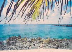 spddr_cozumeltourism_general_.jpg.webp