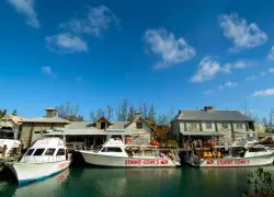 stuart_cove_dock_shot.jpg.webp