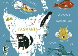 tasmania-scuba-magazine.jpg.webp