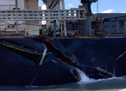 tear-wakashio-courtesy-blue-world-explorer-adventures.jpg.webp