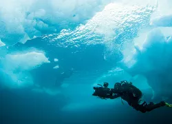 thin-ice-.jpg.webp