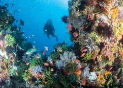travel-staff-picks-komodo-brandon_cole.jpg.webp