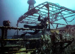 tyrrel-bay-shipwreck-structure-diver-credit-tiffany-duong-ocean-rebels.png.webp