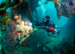 underwater-canada-east-torpedo-jill-heinerth-.jpg.webp