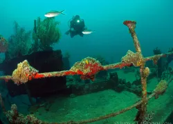 underwater-coco-view-scuba-resort_ig_ccv.jpg.webp