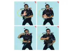 underwater-communication-hand-signals-padi.jpg.webp