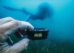 underwater-compass-navigation-shutterstock-allexxandar.jpg.webp
