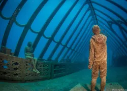 underwater-museum-australia-coral-greenhouse-mattcurnock-.jpg.webp