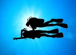 underwater-nav-.jpg.webp
